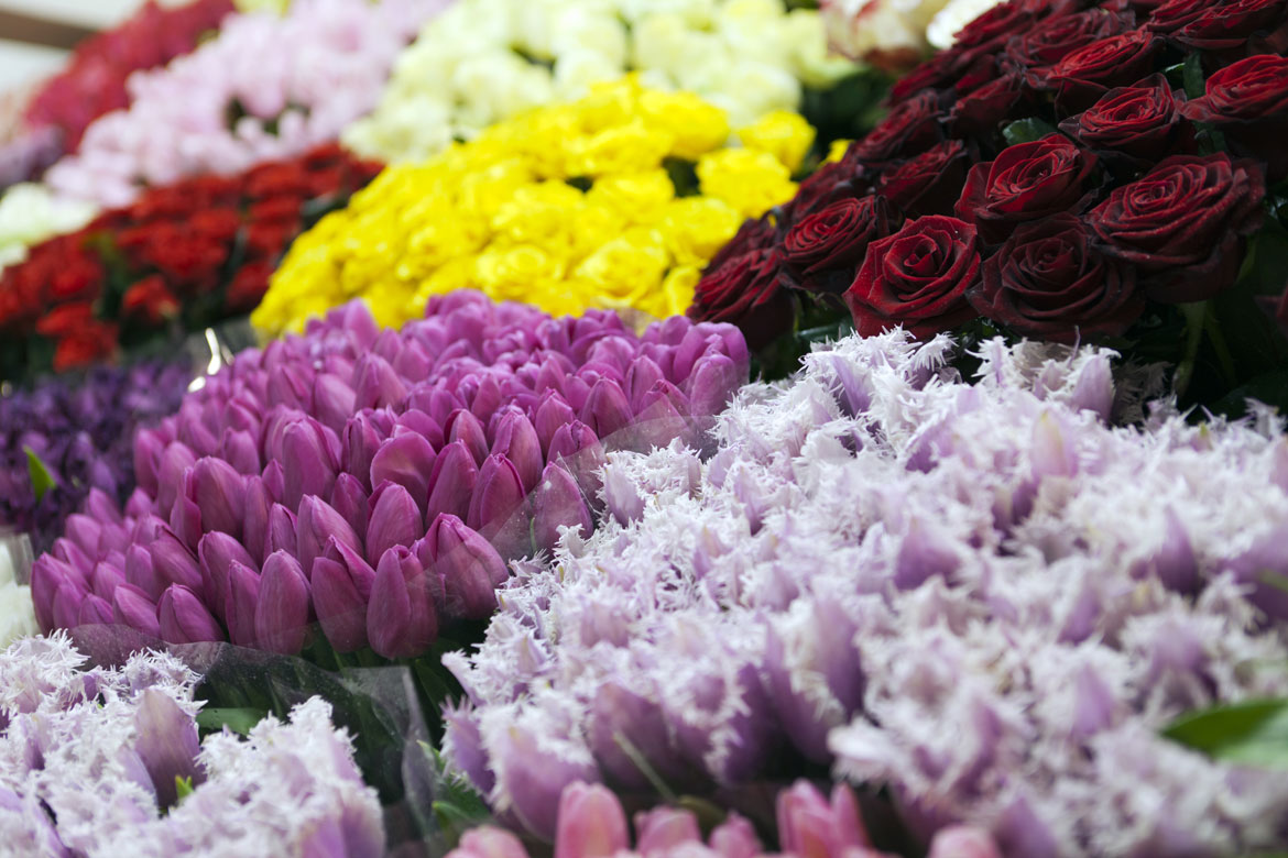 visuel fichiers fleuriste p&eacute;pini&eacute;ristes